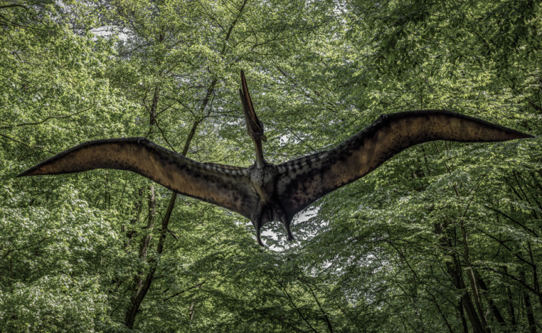 Kosice,,Slovakia,-,May,12:,Model,Of,Dinosaur,Pterodactyl,In