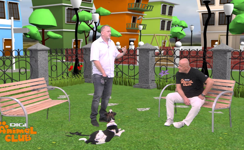 daniel-manea-digi-animal-club