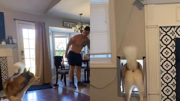 Cum reacționează un câine atunci când e certat de stăpân pentru năzbâtia făcută. Imaginile sunt virale