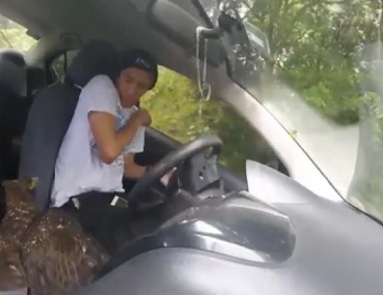 Momentul în care o pasăre sălbatică a intrat în mașina unui bărbat/ Captură foto Youtube