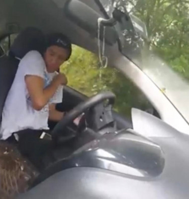 Momentul în care o pasăre sălbatică a intrat în mașina unui bărbat/ Captură foto Youtube