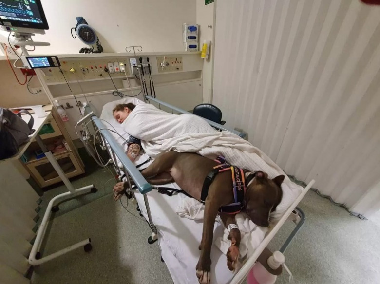 Acest câine a refuzat să-și lase stăpâna singura în spital după ce i-a salvat viața/ Facebook