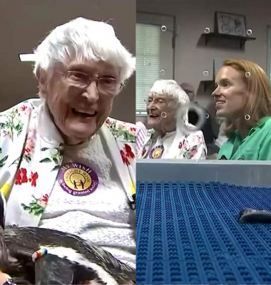 O femeie în vârstă de 104 ani și-a îndeplinit visul de a mângâia un pinguin/ Captură video