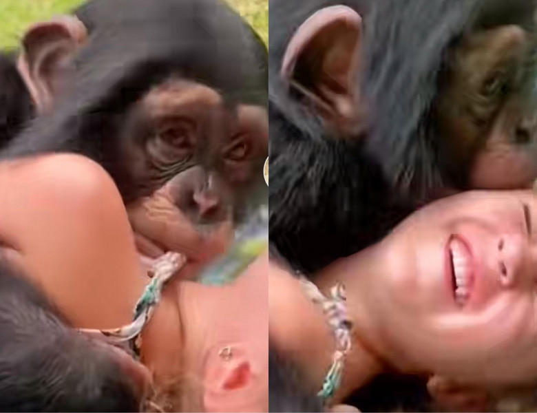 Această maimuță a uimit întreg internetul cu iubirea ei/ Tik Tok