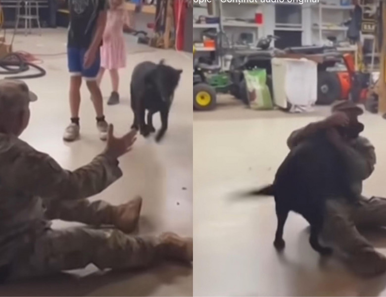 Reacția unui câine când stăpânul se întoarce acasă din misiune/ Foto: Captură video