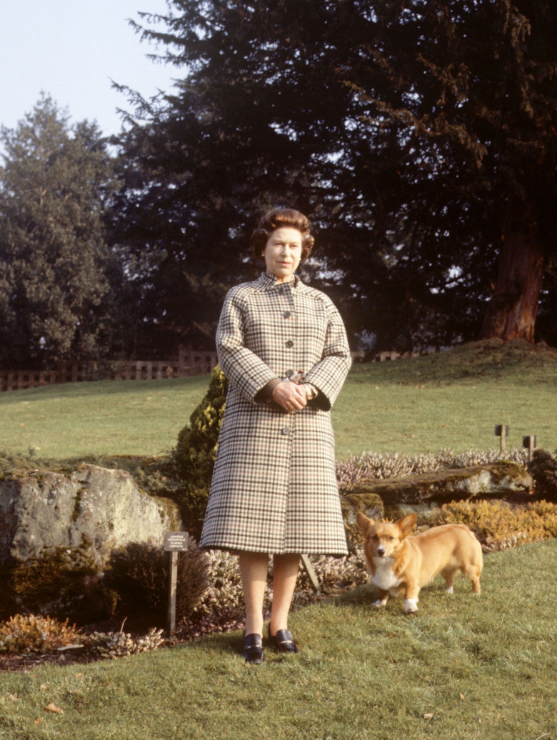 Regina Elisabeta și câinii ei/ Profimedia