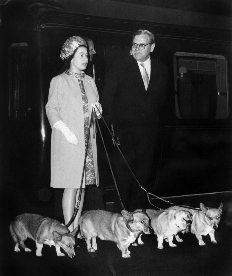 Regina Elisabeta și câinii ei/ Profimedia