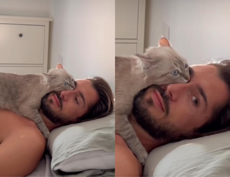 Unde iubește cel mai mult să doarmă o pisică/ Instagram