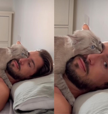 Unde iubește cel mai mult să doarmă o pisică/ Instagram