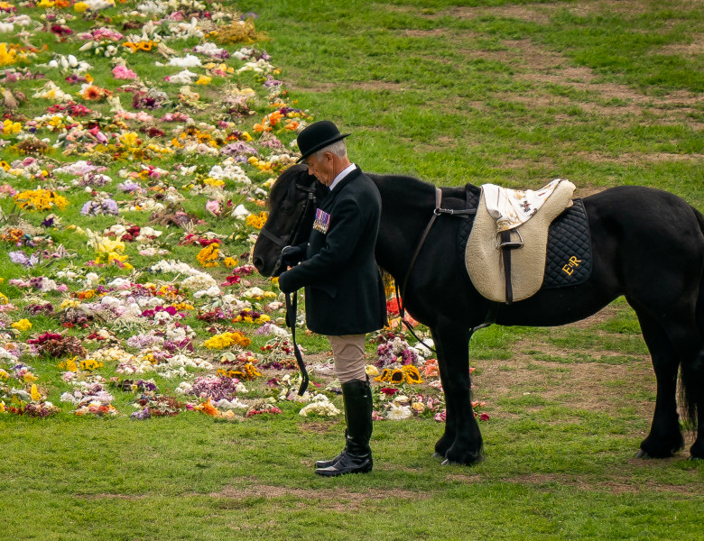 Emma, poneiul Reginei  Elisabeta a II-a, a fost la înmormântare/ Profimedia