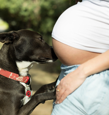 Reacția unui câine când simte mișcările unui bebeluș din burtica mamei/ Shutterstock