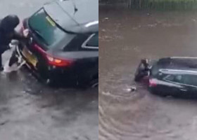 Imagini virale cu un câine care a ajutat o femeie să mute o mașină blocată din cauza unei inundații/ TikTok