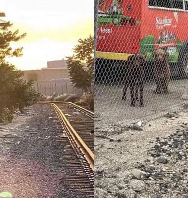 Imagini emoționante cu doi câini care au așteptat luni întregi pe calea ferată/ Facebook