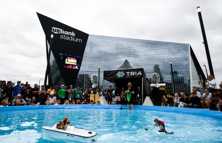 Twiggy The Water-Skiing Squirrel Set To Retire - Minneapolis