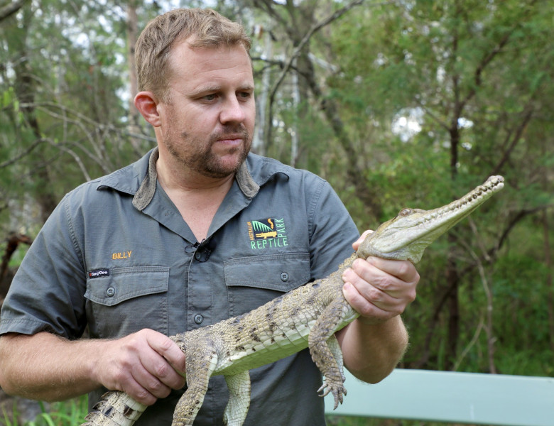 Un crocodil a fost descoperit la 2.500 de kilometri de habitatul său obişnuit/ Facebook