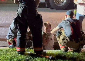 Momentul când pompierii salvează un pui de căprioară dintr-un canal/ Captură video