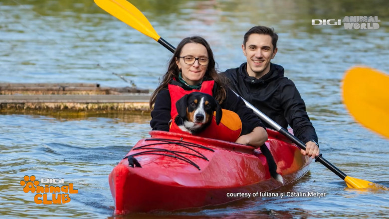 Sâmbătă, la Digi Animal Club, află totul despre câinii sportivi, care adoră plimbările pe cărările munților (7)