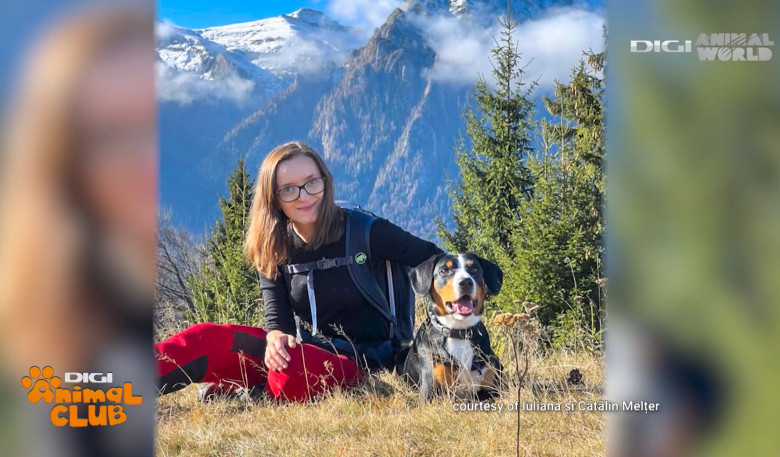 Sâmbătă, la Digi Animal Club, află totul despre câinii sportivi, care adoră plimbările pe cărările munților (6)
