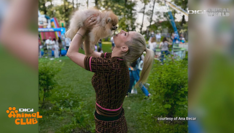 Ana Becar, crescătoare de câini „Sunt și mai frumoși când sunt mulți. Pomeranienii creează dependență” (10)