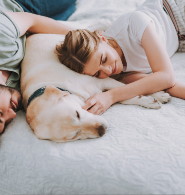 De ce nu ar trebui să dormi niciodată cu câinele tău/ Shutterstock