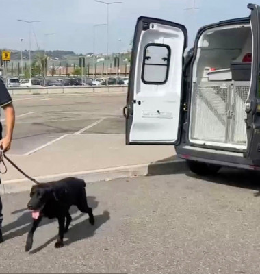 Italy, Scandicci (Florence): Police dog Elio, discovers more than a million Euros in a suitcase at Scandicci (Florence) bus station