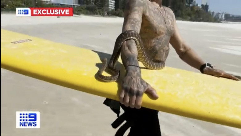 Ce a pățit un bărbat din Australia după ce a făcut surf cu un șarpe/ Foto: Captură video Youtube