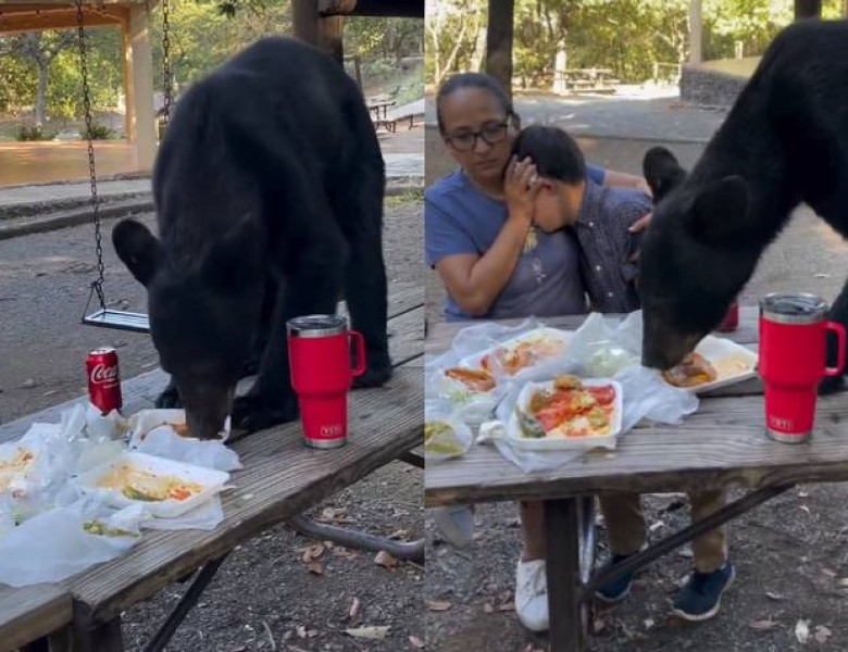 Povestea din spatele videoclipului viral cu mama care își protejează fiul în timp ce un urs le mănâncă picnicul/ Twitter