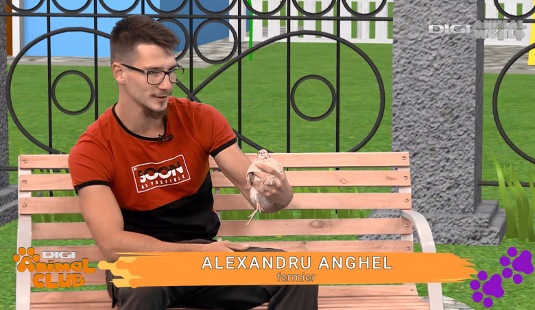 Alexandru Anghel, fermier ”Cel mai mult contează să-ți placă ceea ce faci. Eu nu-mi dau seama când a trecut ziua” (2)
