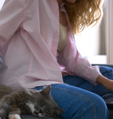 De ce nu e bine să-ți mângâi pisica pe burtă/ Shutterstock