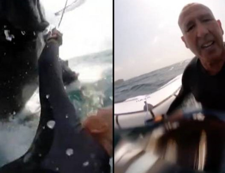 Momentul incredibil în care un bărbat este lovit de o balenă/ Captură video