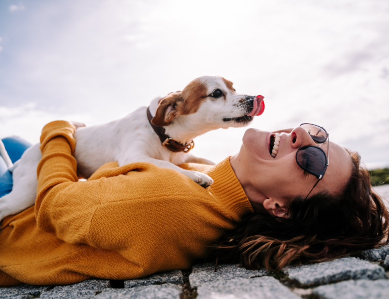 Reacția unui câine când stăpâna sa îi spune că este frumos/ Shutterstock