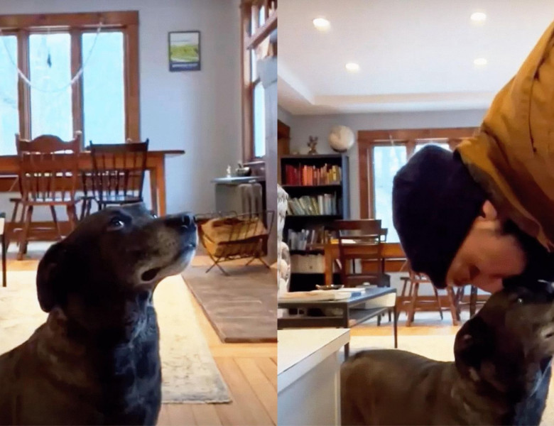 Acest câine refuză să mănânce dacă stăpânul său nu îl sărută/ Foto: Captură video TikTok