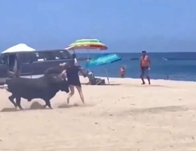Imagini terifiante cu o femeie care este atacată de un taur pe o plajă din Mexic/ Foto: Captură video Youtube
