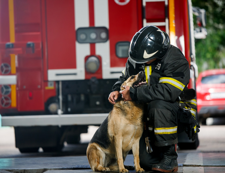 Un pompier a devenit un erou după ce a salvat un câine dintr-un incendiu/ Foto: Shutterstock