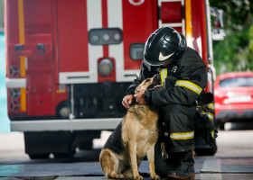 Un pompier a devenit un erou după ce a salvat un câine dintr-un incendiu/ Foto: Shutterstock