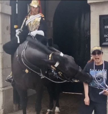Momentul când o turistă este mușcată de calul Gărzii Regale Britanice/ Profimedia