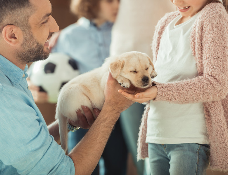 Reacția unei femei când soțul ei a venit acasă cu un câine, în ciuda entuziasmului copiilor/ Shutterstock