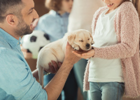 Reacția unei femei când soțul ei a venit acasă cu un câine, în ciuda entuziasmului copiilor/ Shutterstock