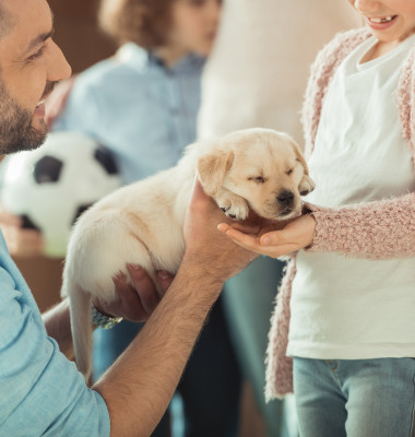 Reacția unei femei când soțul ei a venit acasă cu un câine, în ciuda entuziasmului copiilor/ Shutterstock