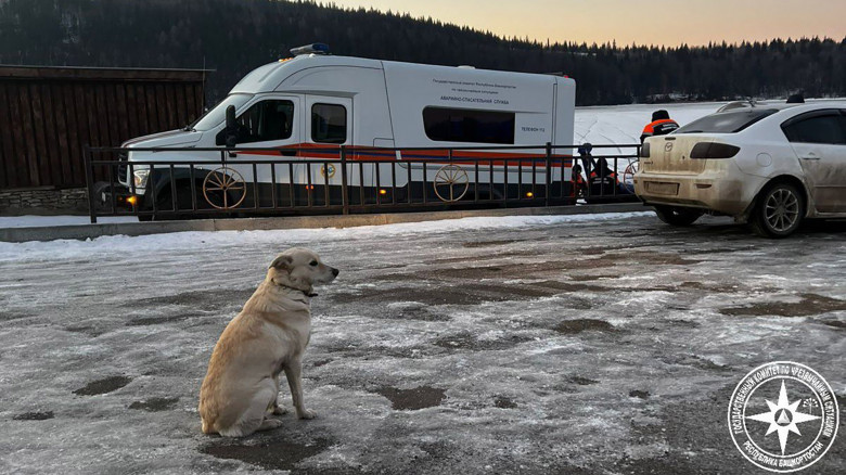 Gestul făcut de un câine după ce stăpânul său și-a pierdut viața într-un râu înghețat/ Profimedia