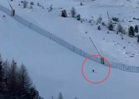 Imagini virale cu trei lupi care apar pe o pârtie de schi renumită din Italia/ Foto: Captură video Facebook