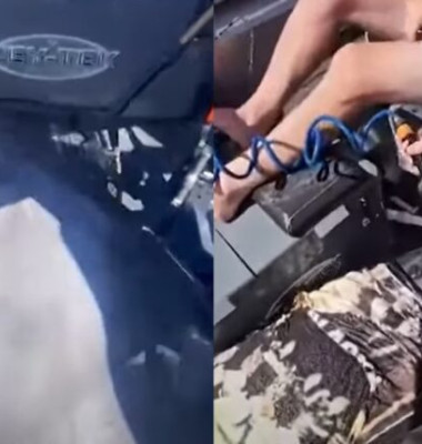 Momentul când un delfin de peste 400 de kilograme sare în barca unor pescari/ Foto: Captură video Youtube