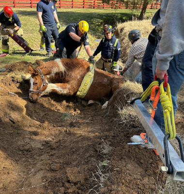 Un cal blocat într-un șanț adânc, ridicat cu un ham uriaș de pompieri/ Foto: Facebook Maury County Fire Department