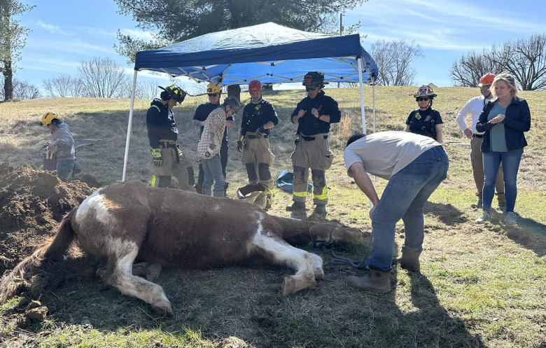 Un cal blocat într-un șanț adânc, ridicat cu un ham uriaș de pompieri/ Foto: Facebook Maury County Fire Department