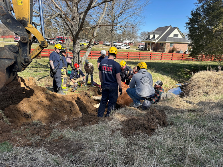 Un cal blocat într-un șanț adânc, ridicat cu un ham uriaș de pompieri/ Foto: Facebook Maury County Fire Department
