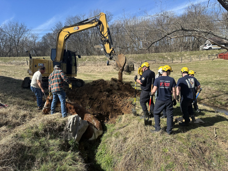 Un cal blocat într-un șanț adânc, ridicat cu un ham uriaș de pompieri/ Foto: Facebook Maury County Fire Department
