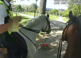 Momentul când doi cai ai poliției din Londra au fost atacați de un câine într-un parc aglomerat/ Foto: Captură video
