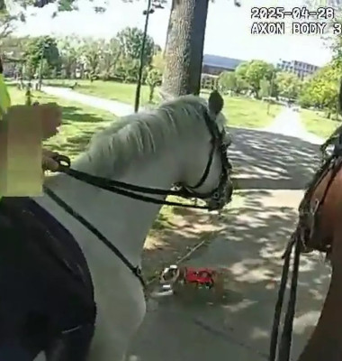 Momentul când doi cai ai poliției din Londra au fost atacați de un câine într-un parc aglomerat/ Foto: Captură video