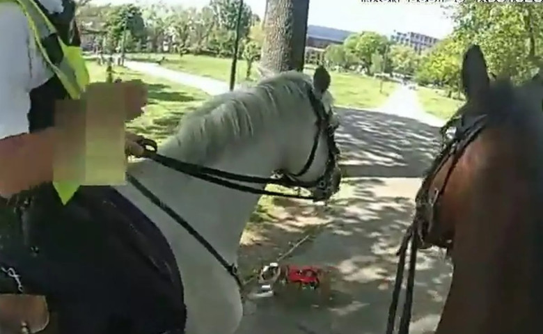 Momentul când doi cai ai poliției din Londra au fost atacați de un câine într-un parc aglomerat/ Foto: Captură video