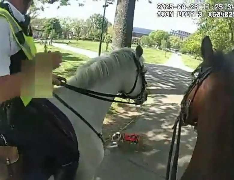 Momentul când doi cai ai poliției din Londra au fost atacați de un câine într-un parc aglomerat/ Foto: Captură video